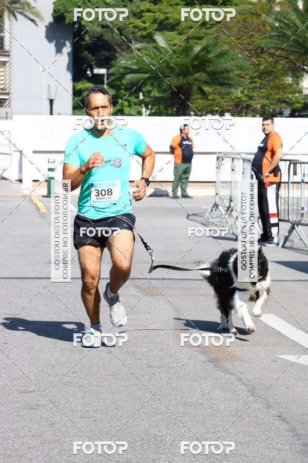 Buy your photos of the event2 Pet Run Shopping Eldorado  on Fotop