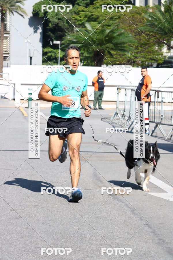 Buy your photos of the event2� Pet Run Shopping Eldorado  on Fotop