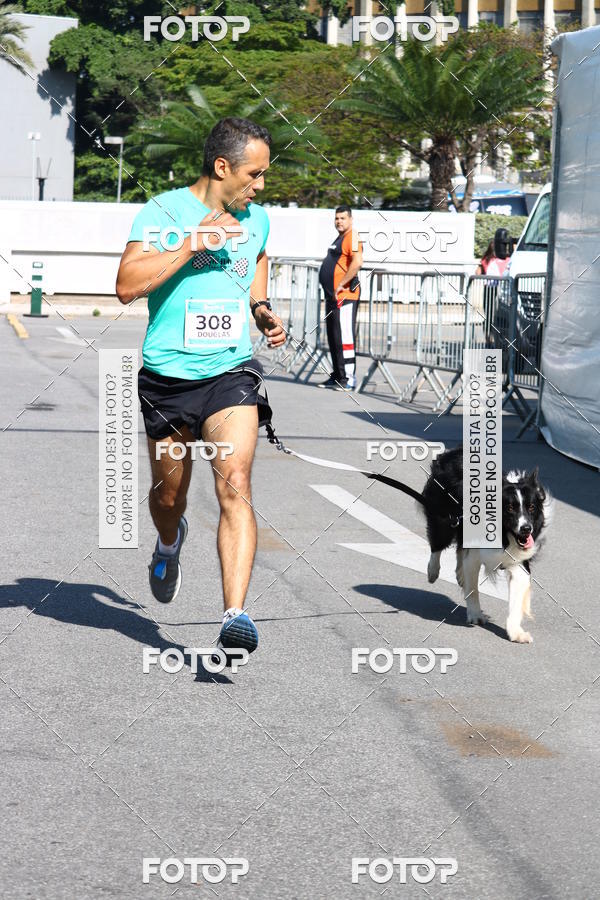 Buy your photos of the event2� Pet Run Shopping Eldorado  on Fotop