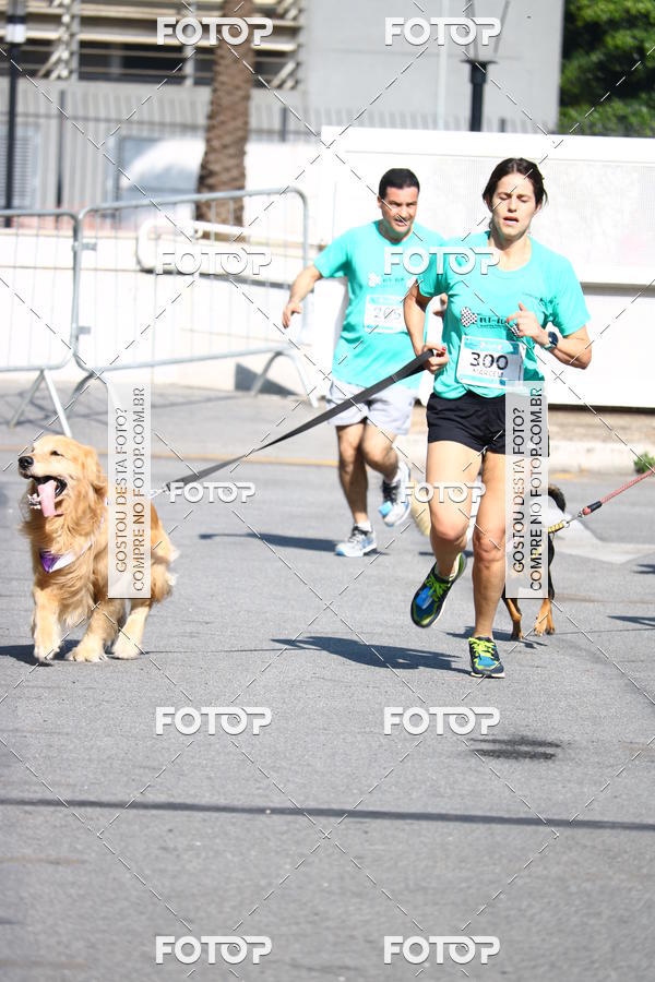 Buy your photos of the event2 Pet Run Shopping Eldorado  on Fotop