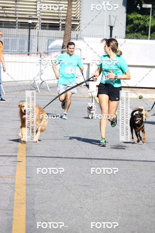 Buy your photos of the event2� Pet Run Shopping Eldorado  on Fotop