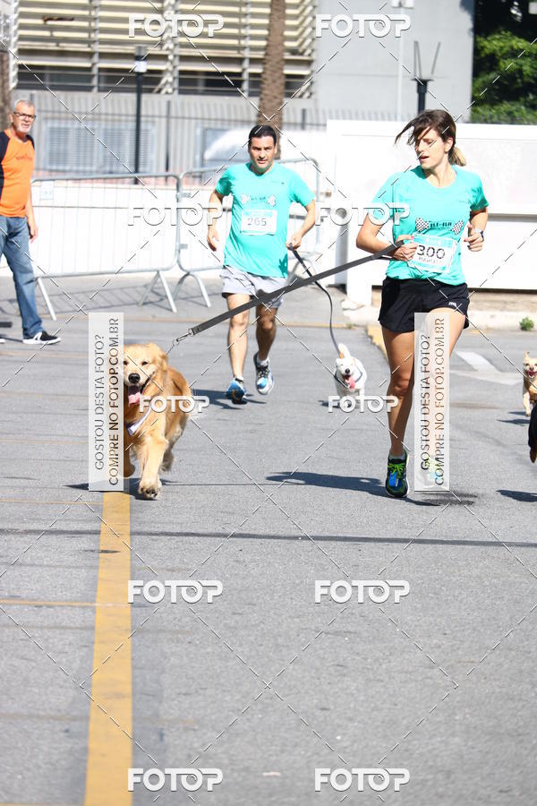 Buy your photos of the event2 Pet Run Shopping Eldorado  on Fotop