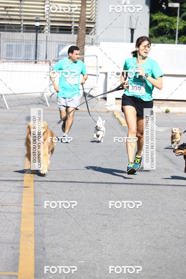 Buy your photos of the event2 Pet Run Shopping Eldorado  on Fotop