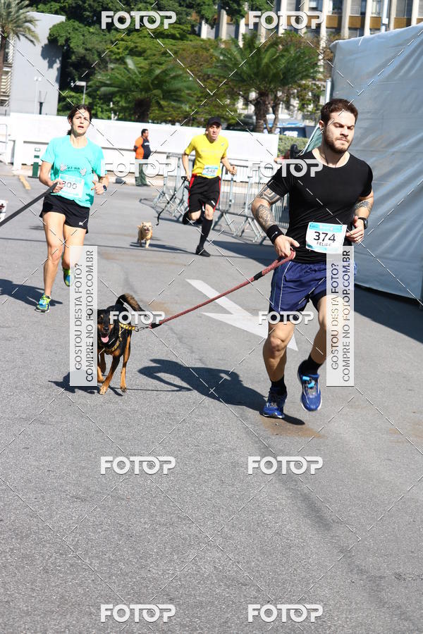 Buy your photos of the event2� Pet Run Shopping Eldorado  on Fotop