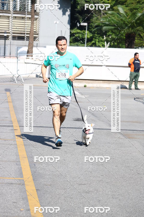 Buy your photos of the event2 Pet Run Shopping Eldorado  on Fotop