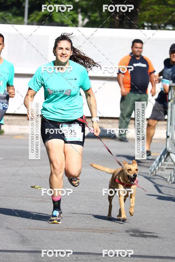 Buy your photos of the event2 Pet Run Shopping Eldorado  on Fotop