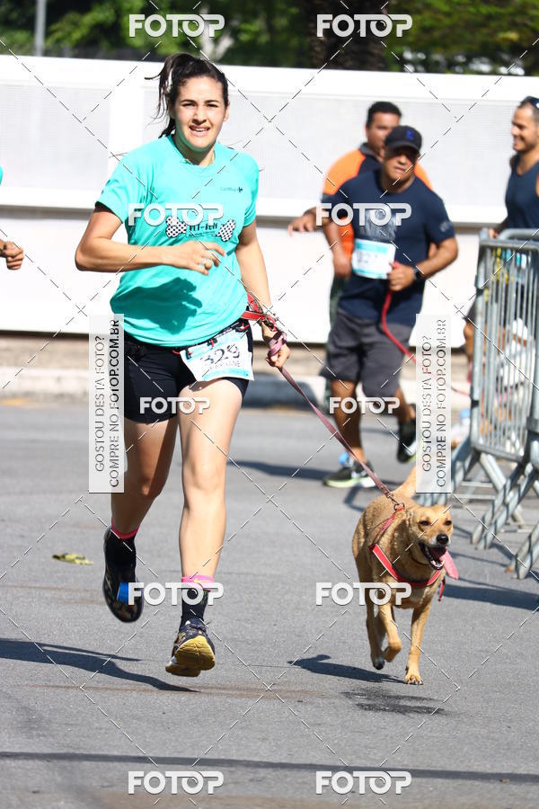 Buy your photos of the event2 Pet Run Shopping Eldorado  on Fotop