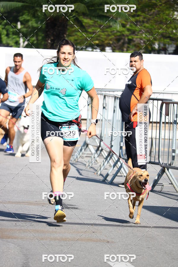 Buy your photos of the event2 Pet Run Shopping Eldorado  on Fotop