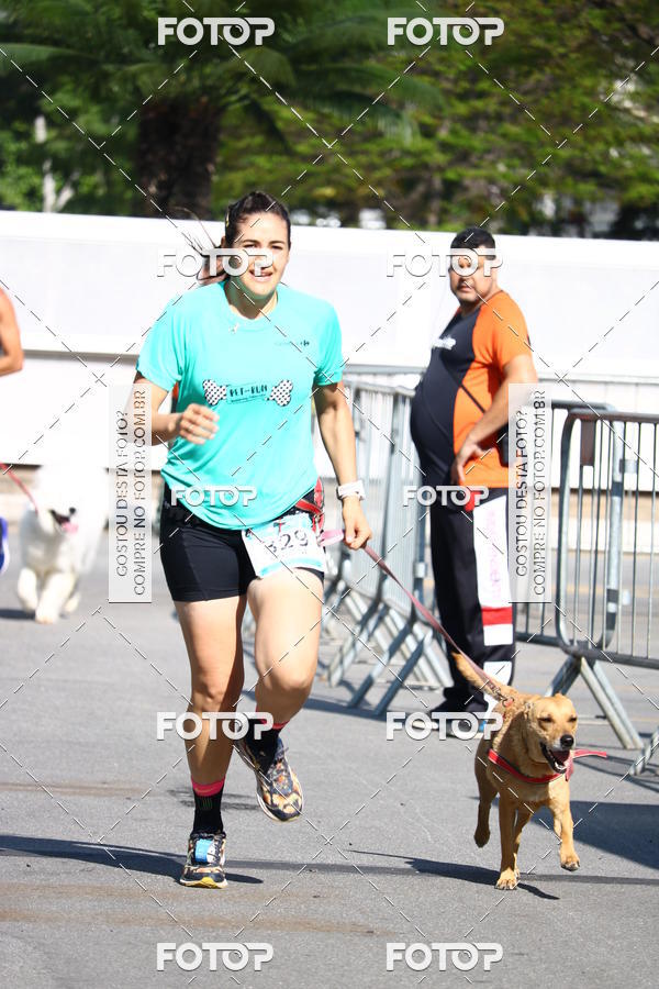 Buy your photos of the event2 Pet Run Shopping Eldorado  on Fotop