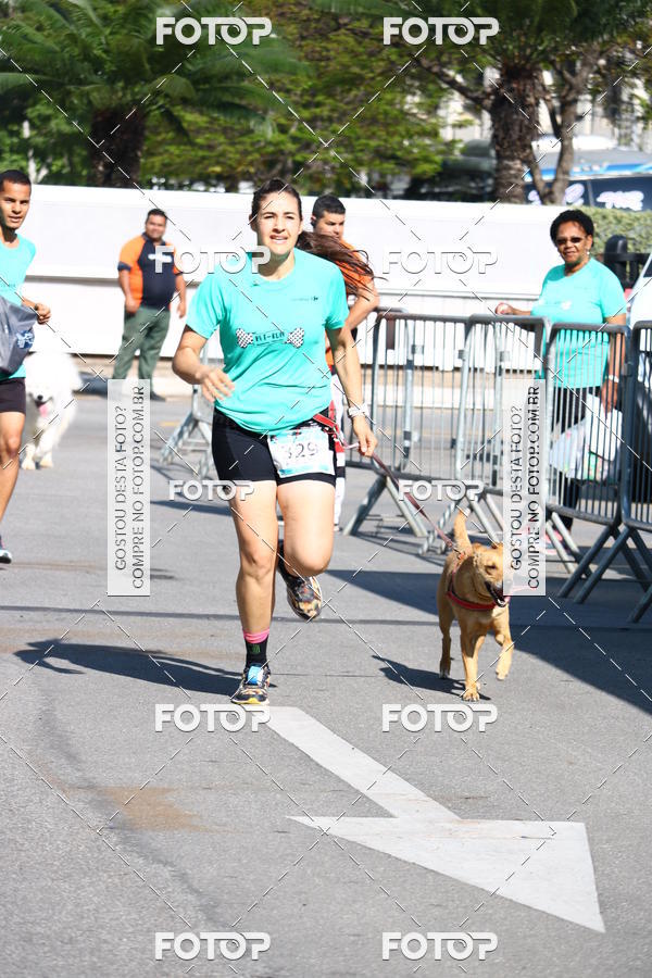 Buy your photos of the event2 Pet Run Shopping Eldorado  on Fotop