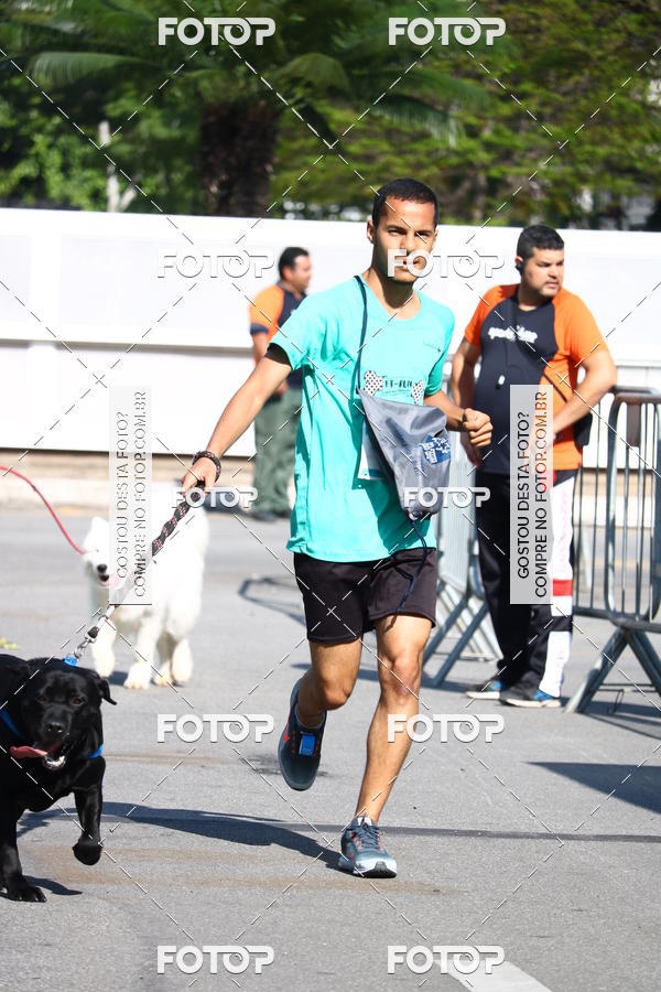 Buy your photos of the event2� Pet Run Shopping Eldorado  on Fotop