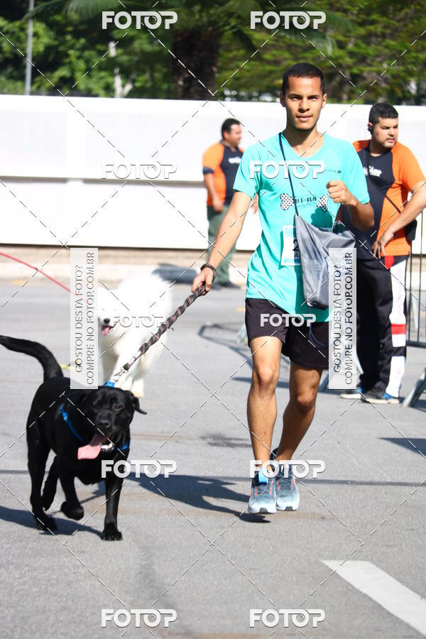 Buy your photos of the event2� Pet Run Shopping Eldorado  on Fotop