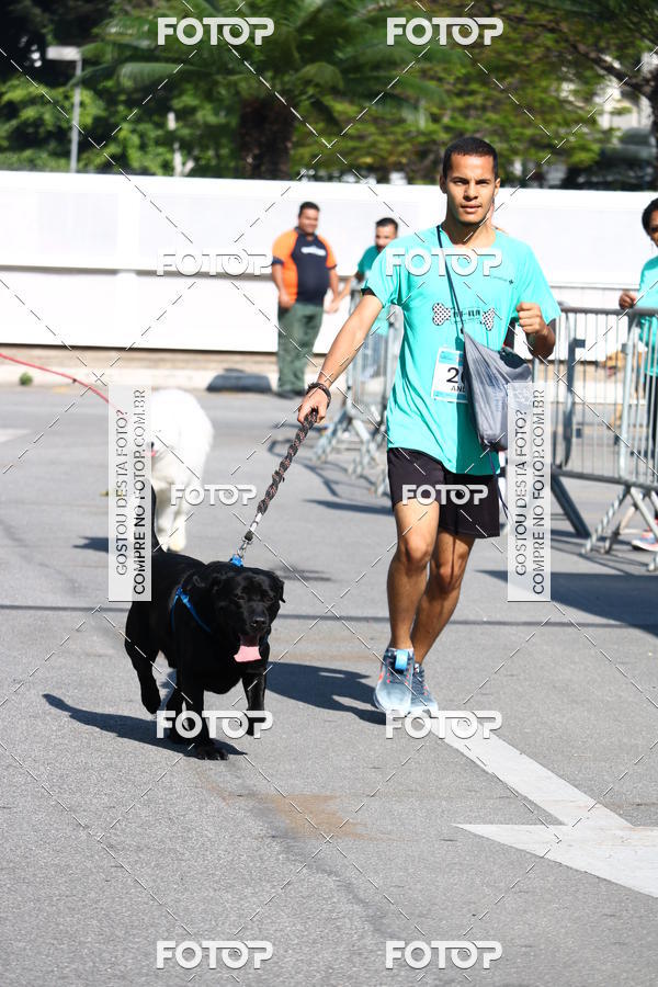 Buy your photos of the event2 Pet Run Shopping Eldorado  on Fotop