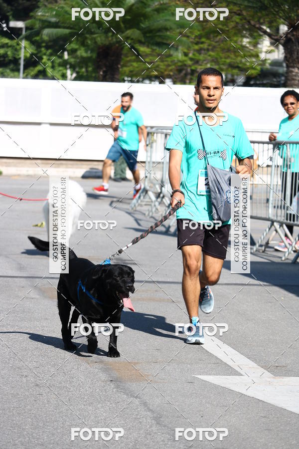 Buy your photos of the event2 Pet Run Shopping Eldorado  on Fotop