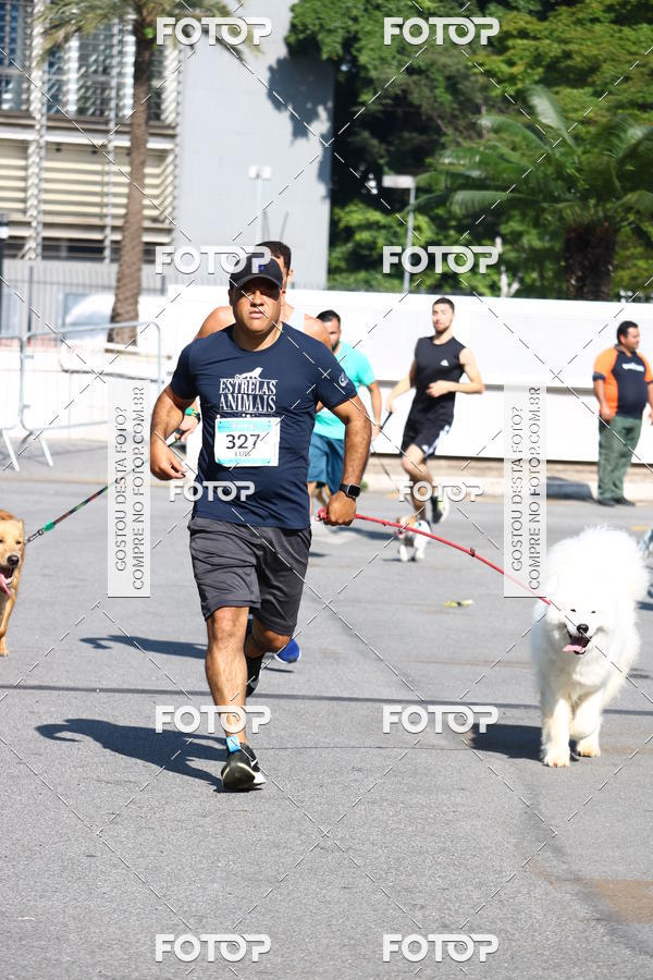 Buy your photos of the event2 Pet Run Shopping Eldorado  on Fotop