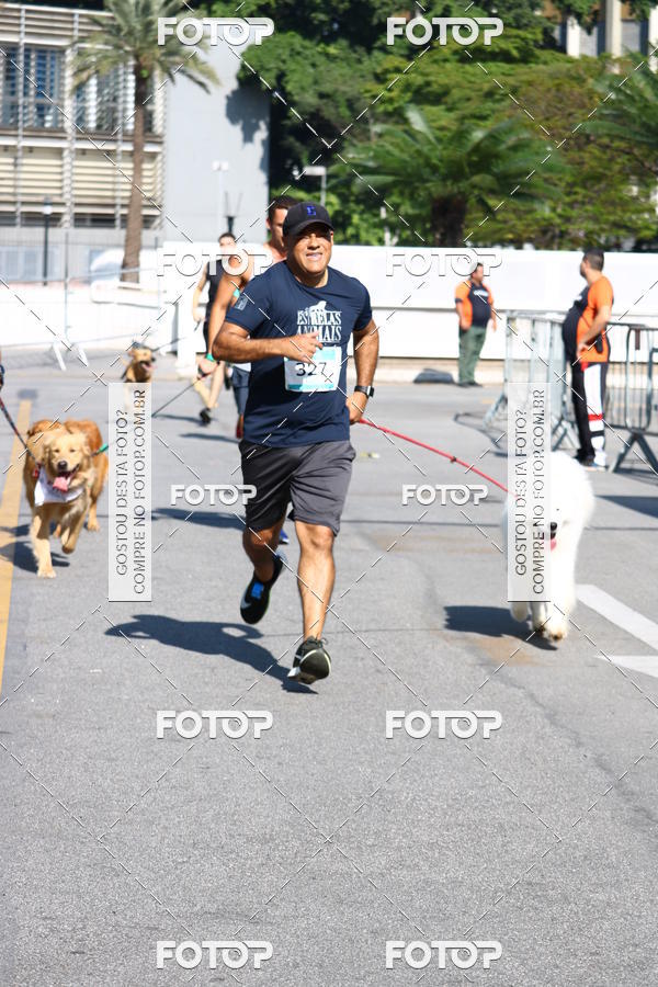 Buy your photos of the event2 Pet Run Shopping Eldorado  on Fotop