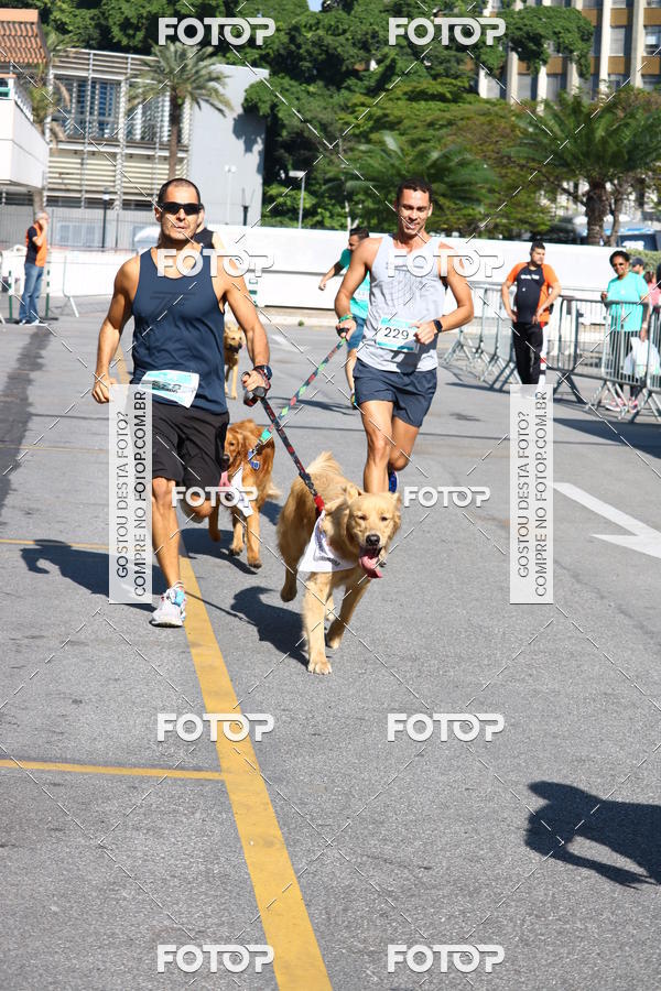 Buy your photos of the event2� Pet Run Shopping Eldorado  on Fotop