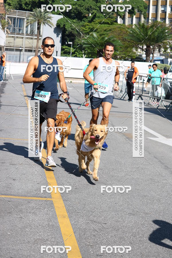 Buy your photos of the event2 Pet Run Shopping Eldorado  on Fotop