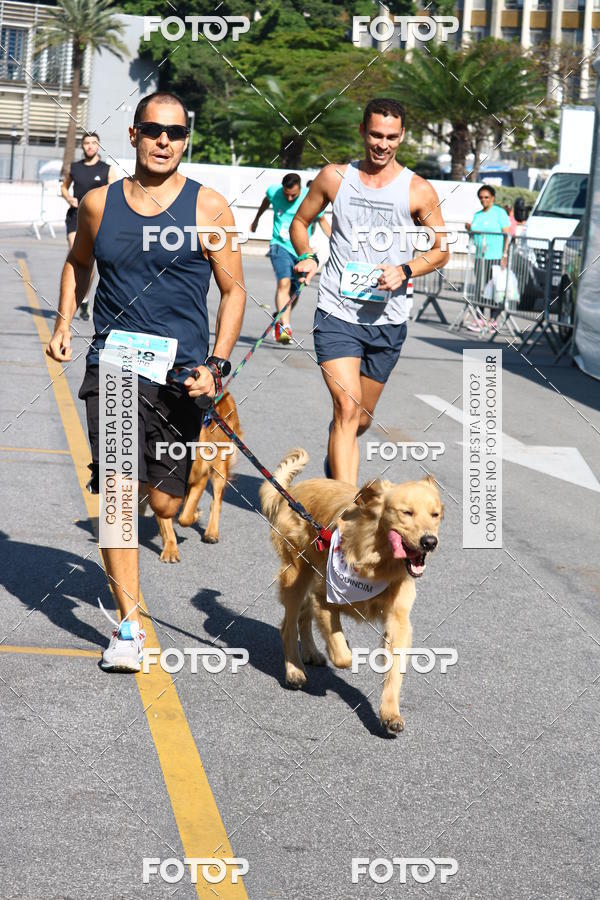 Buy your photos of the event2� Pet Run Shopping Eldorado  on Fotop