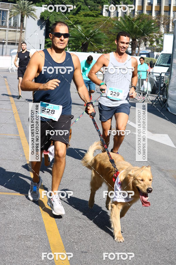 Buy your photos of the event2� Pet Run Shopping Eldorado  on Fotop