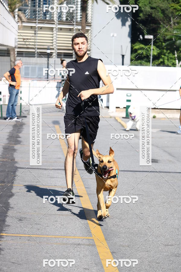 Buy your photos of the event2 Pet Run Shopping Eldorado  on Fotop