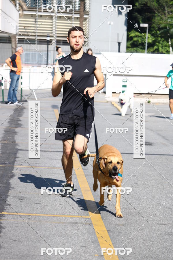 Buy your photos of the event2� Pet Run Shopping Eldorado  on Fotop