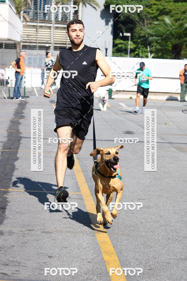 Buy your photos of the event2 Pet Run Shopping Eldorado  on Fotop