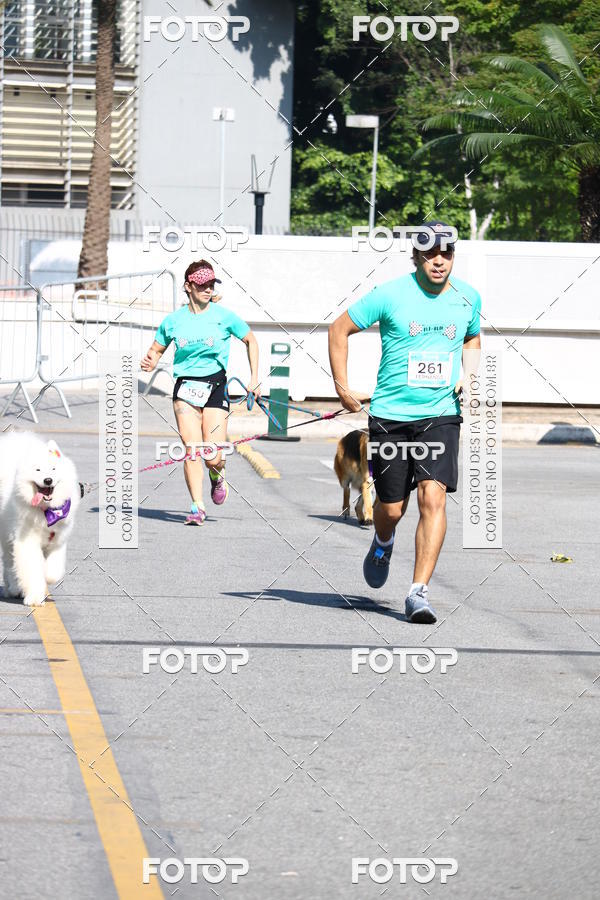 Buy your photos of the event2 Pet Run Shopping Eldorado  on Fotop