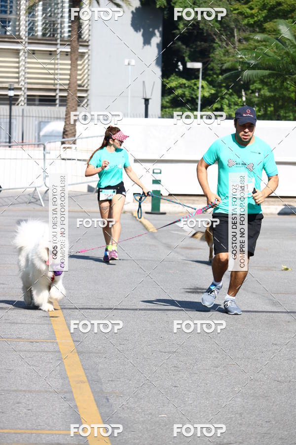 Buy your photos of the event2� Pet Run Shopping Eldorado  on Fotop