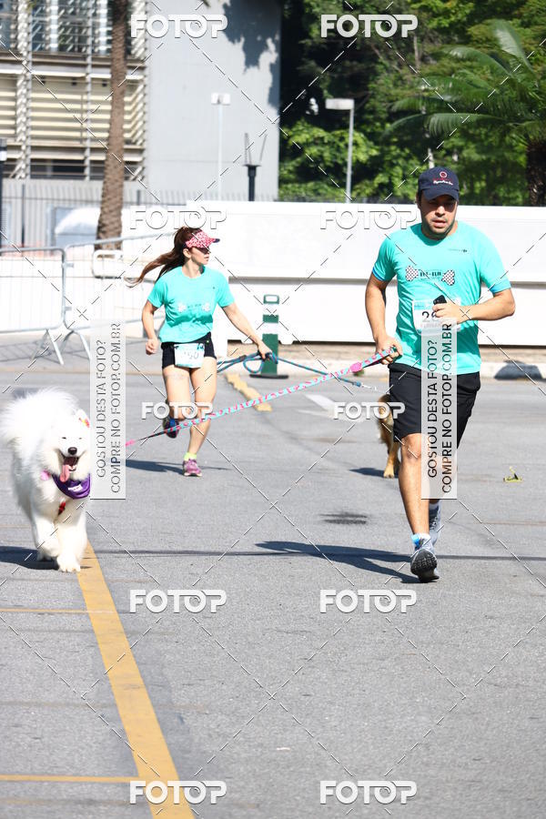 Buy your photos of the event2 Pet Run Shopping Eldorado  on Fotop