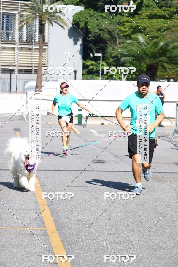Buy your photos of the event2 Pet Run Shopping Eldorado  on Fotop