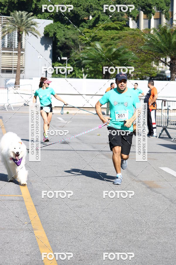 Buy your photos of the event2 Pet Run Shopping Eldorado  on Fotop