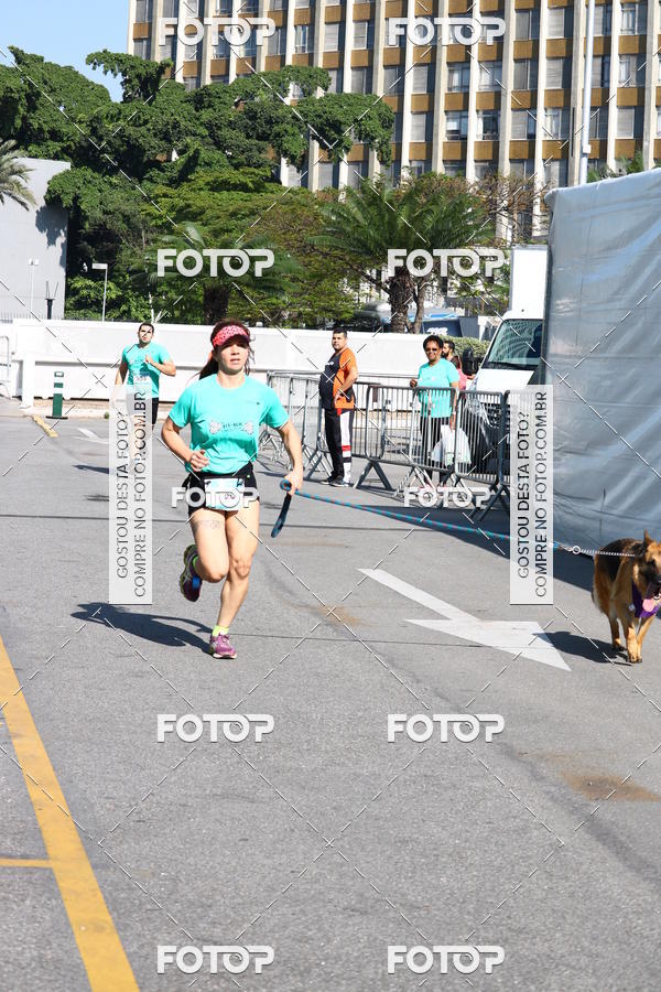 Buy your photos of the event2� Pet Run Shopping Eldorado  on Fotop