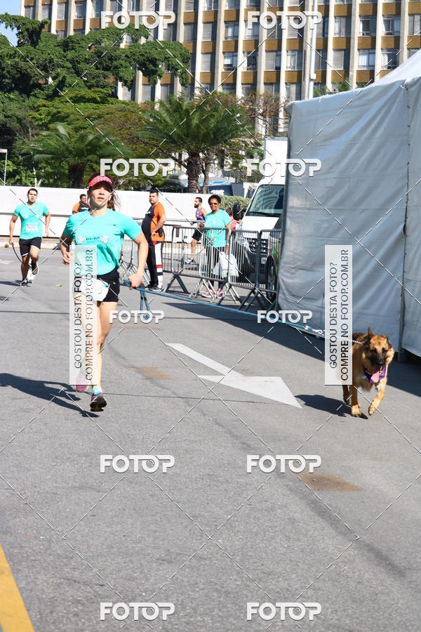 Buy your photos of the event2� Pet Run Shopping Eldorado  on Fotop