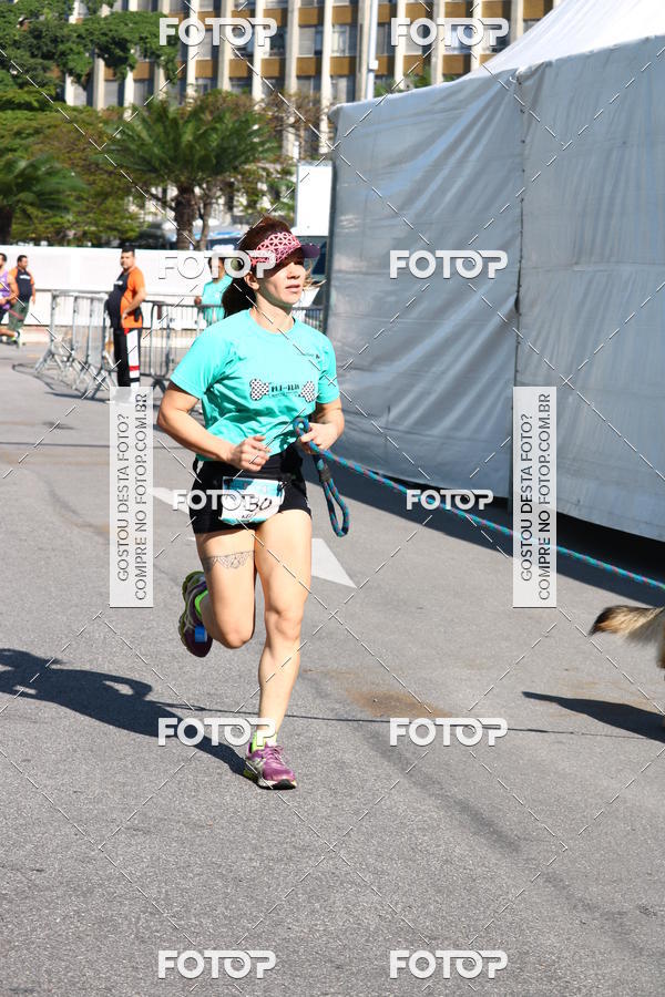 Buy your photos of the event2� Pet Run Shopping Eldorado  on Fotop