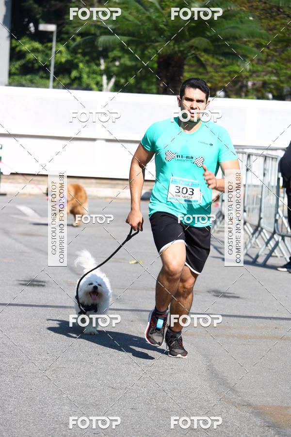 Buy your photos of the event2 Pet Run Shopping Eldorado  on Fotop
