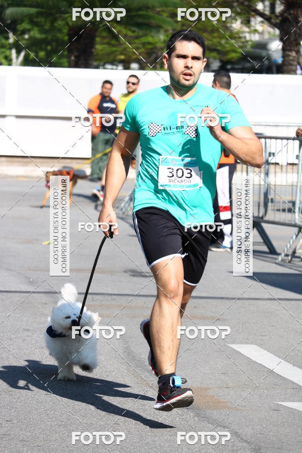 Buy your photos of the event2 Pet Run Shopping Eldorado  on Fotop