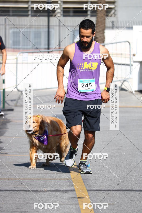 Buy your photos of the event2� Pet Run Shopping Eldorado  on Fotop