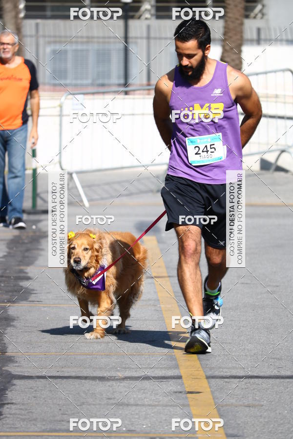 Buy your photos of the event2 Pet Run Shopping Eldorado  on Fotop