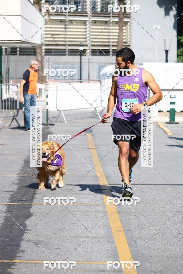Buy your photos of the event2� Pet Run Shopping Eldorado  on Fotop