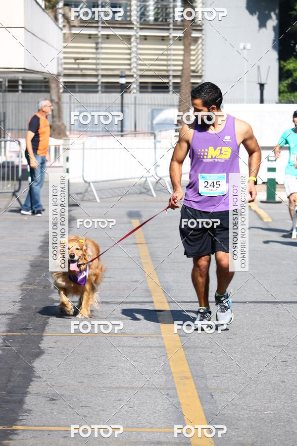 Buy your photos of the event2� Pet Run Shopping Eldorado  on Fotop