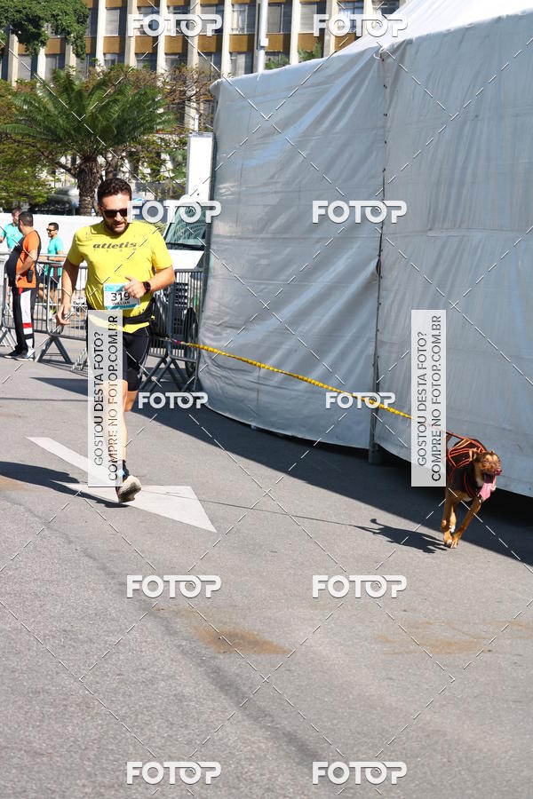 Buy your photos of the event2� Pet Run Shopping Eldorado  on Fotop