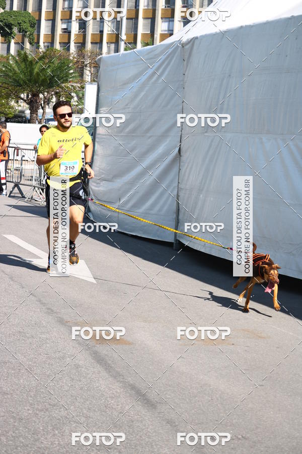Buy your photos of the event2� Pet Run Shopping Eldorado  on Fotop