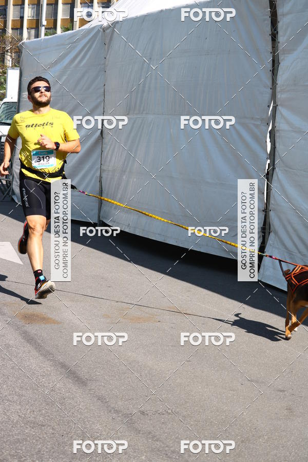 Buy your photos of the event2� Pet Run Shopping Eldorado  on Fotop