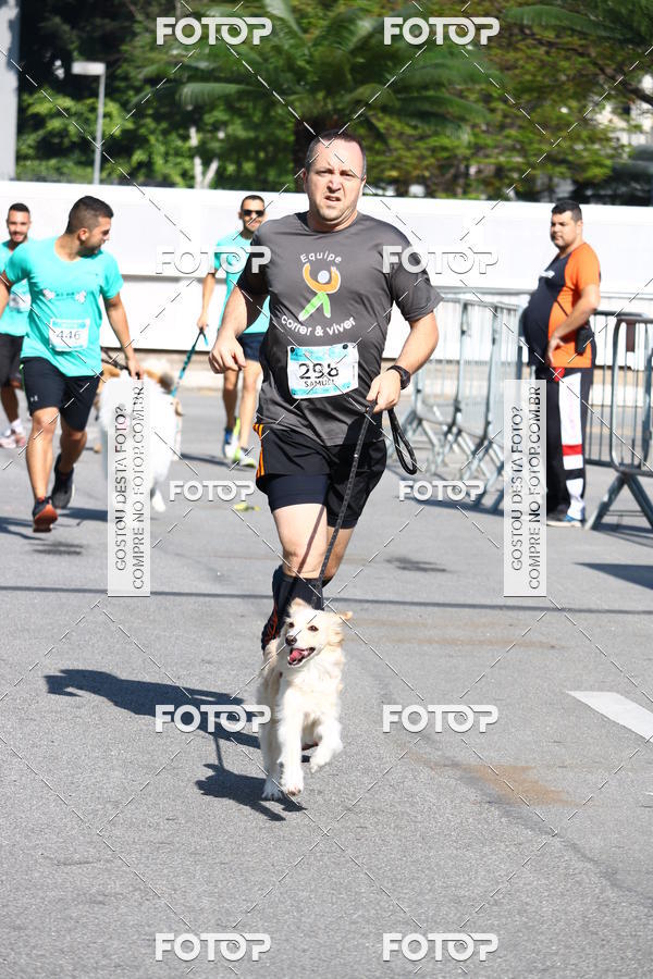 Buy your photos of the event2� Pet Run Shopping Eldorado  on Fotop