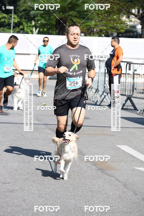 Buy your photos of the event2� Pet Run Shopping Eldorado  on Fotop