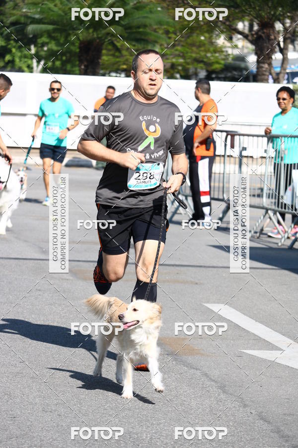 Buy your photos of the event2� Pet Run Shopping Eldorado  on Fotop