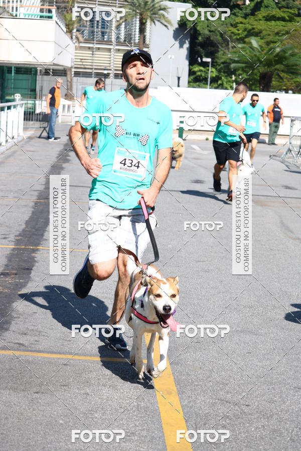 Buy your photos of the event2� Pet Run Shopping Eldorado  on Fotop