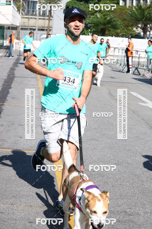 Buy your photos of the event2� Pet Run Shopping Eldorado  on Fotop