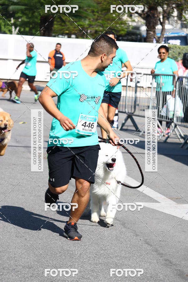 Buy your photos of the event2� Pet Run Shopping Eldorado  on Fotop